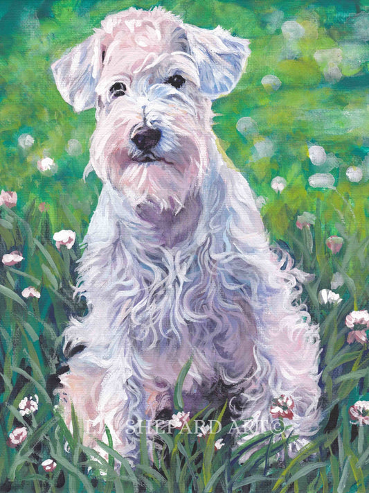 white Miniature SCHNAUZER dog art PRINT of LA Shepard painting 12x16