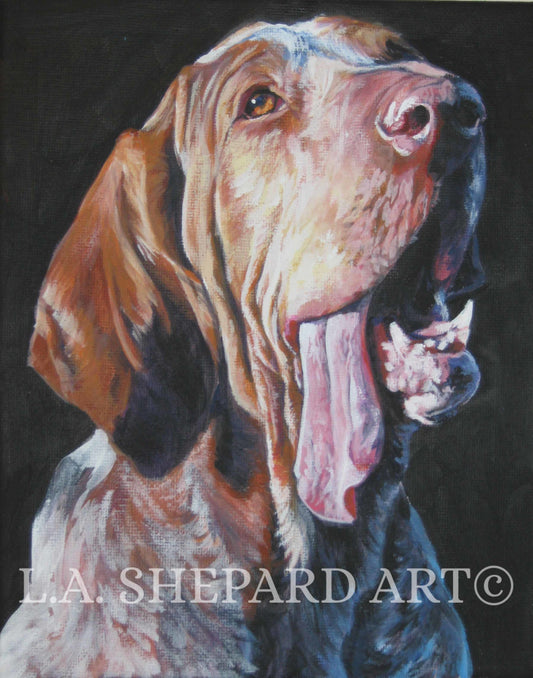 BRACCO ITALIANO dog art portrait canvas PRINT of LAShepard painting 11x14