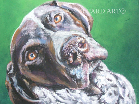 German Shorthaired Pointer GSP dog art portrait PRINTof LA Shepard painting 8x10