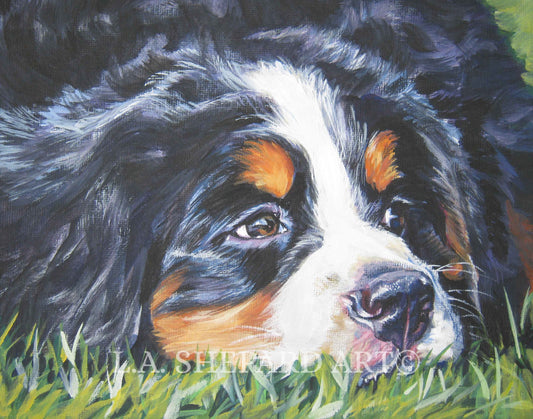 BERNESE Mountain Dog art portrait canvas PRINT of LA Shepard painting 8x10