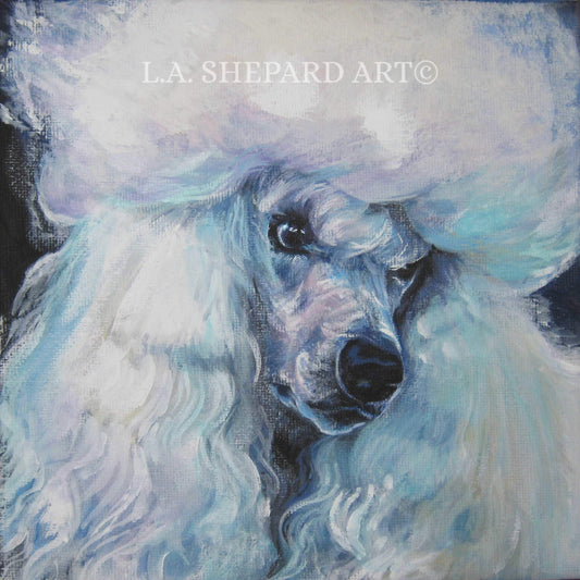 Standard POODLE dog art portrait PRINT of LA Shepard painting 12x12