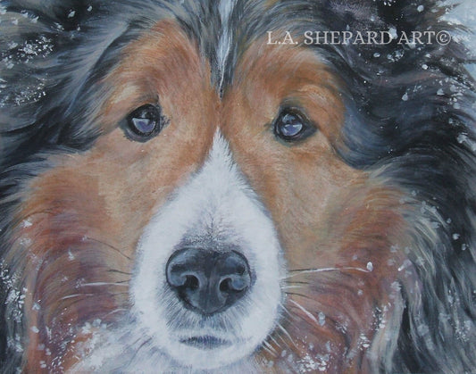 Shetland Sheepdog SHELTIE dog art portrait PRINT of LA Shepard painting 11x14