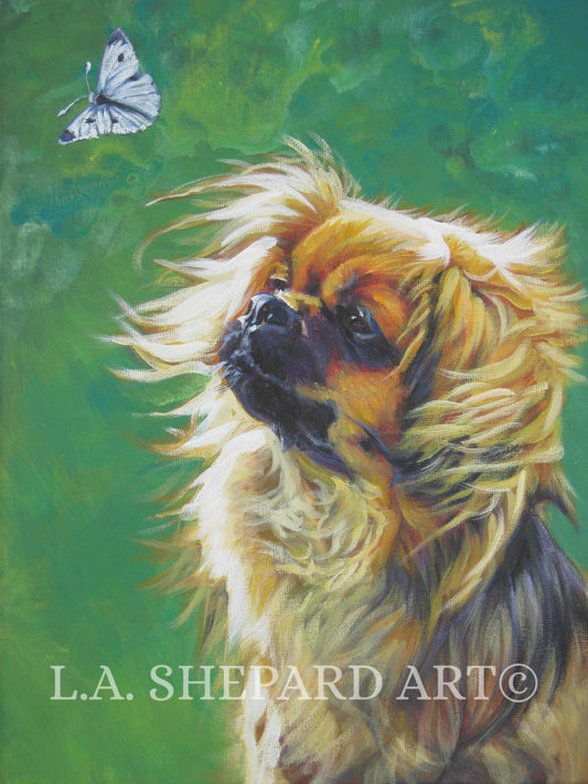 TIBETAN Spaniel dog art portrait PRINT of LA Shepard painting 12x16