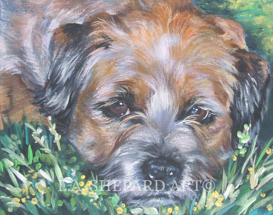 BORDER TERRIER dog art portrait PRINT of LAShepard painting 8x10