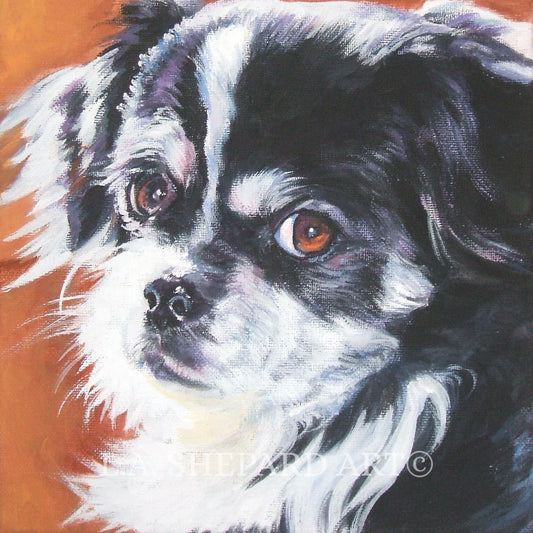 Tibetan Spaniel dog art portrait  PRINT of LA Shepard painting 8x8