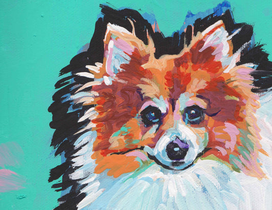 PomAmericanEskimo Dog mix art print of pop art dog painting bright colors 13x19
