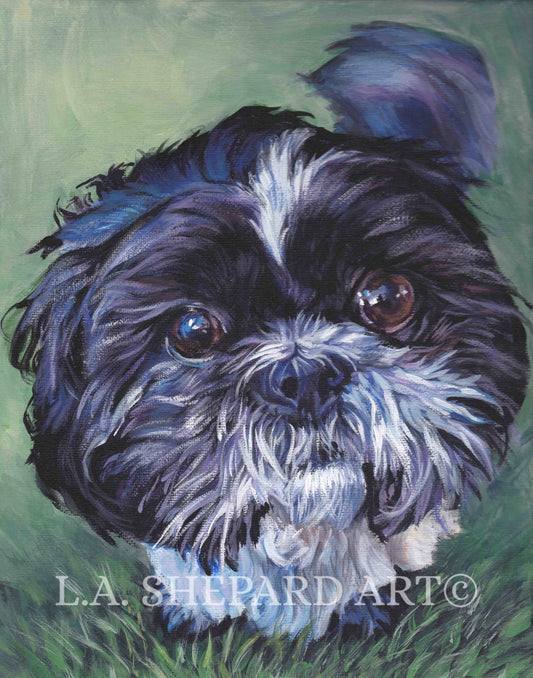 SHIH TZU  Dog art portrait canvas PRINT of LAShepard painting 8x10