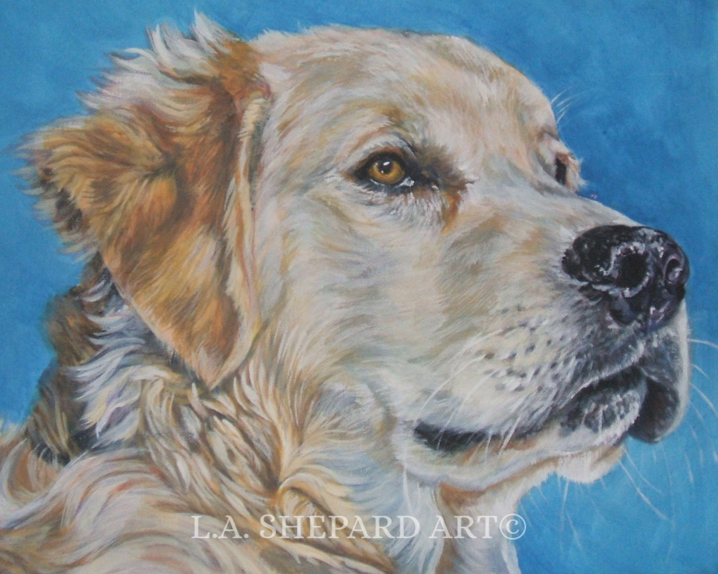GOLDEN RETRIEVER dog art portrait canvas PRINT of LAShepard painting 8x10