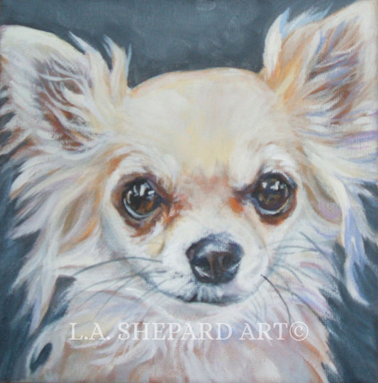 CHIHUAHUA dog art portrait canvas PRINT of LA Shepard painting 12x12