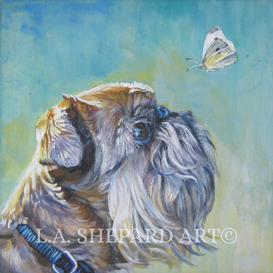 BRUSSELS GRIFFON dog portrait art canvas PRINT of LAShepard painting 8x8
