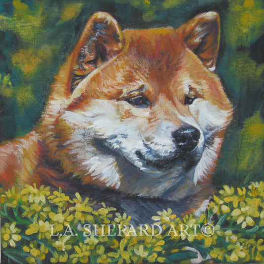 SHIBA Inu dog portrait art canvas PRINT of LA Shepard painting 8x8