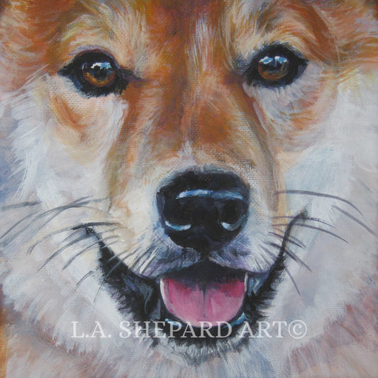 SHIBA INU dog art portrait PRINT of LAShepard painting 12x12"