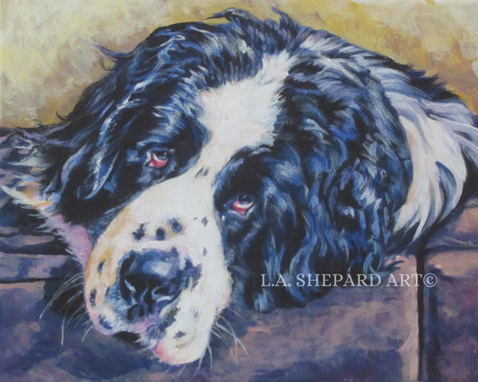 Landseer Newfoundland "A Sleepy Landseer Newfoundlander" Giclée Print of Original Painting by LA Shepard