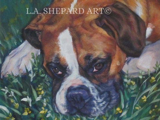 BOXER dog art portrait PRINT of LAShepard painting 12x16