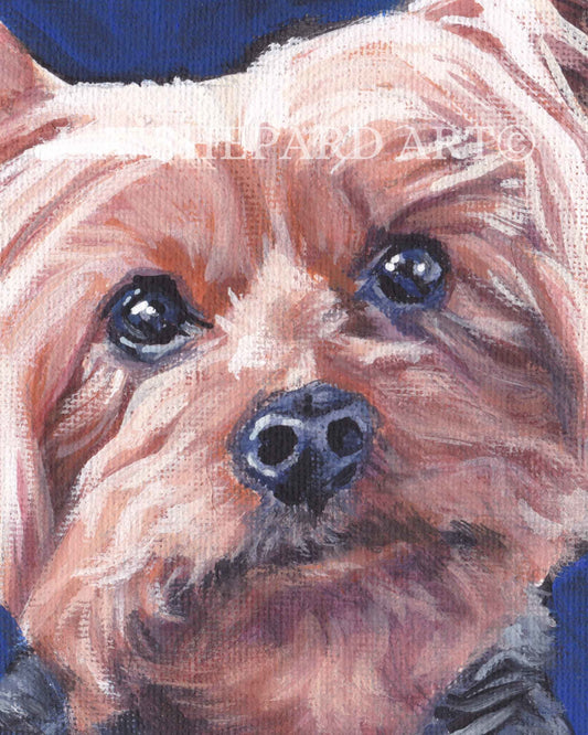 Yorkshire Terrier YORKIE DOG portrait PRINT of LAShepard painting 11x14