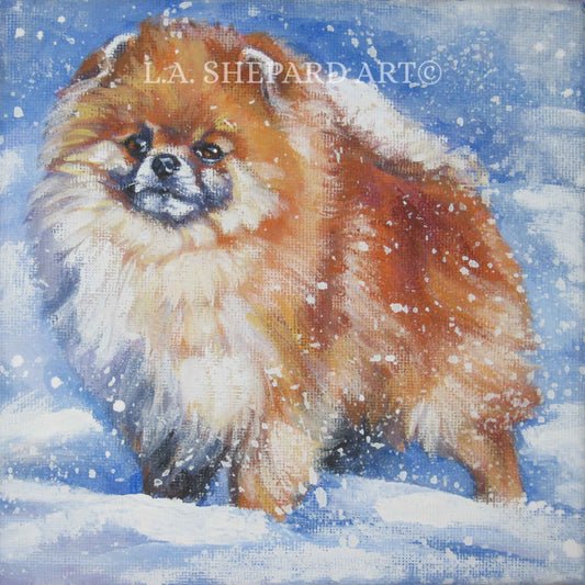 POMERANIAN dog art PORTRAIT canvas PRINT of LAShepard painting 8x8"