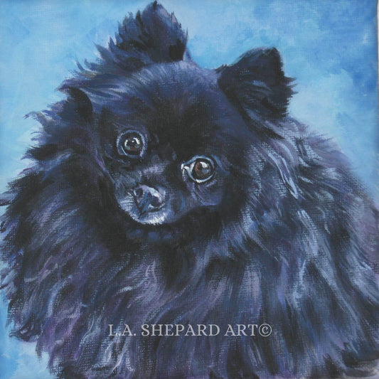 black POMERANIAN dog art portrait canvas PRINT of LA Shepard painting 8x8