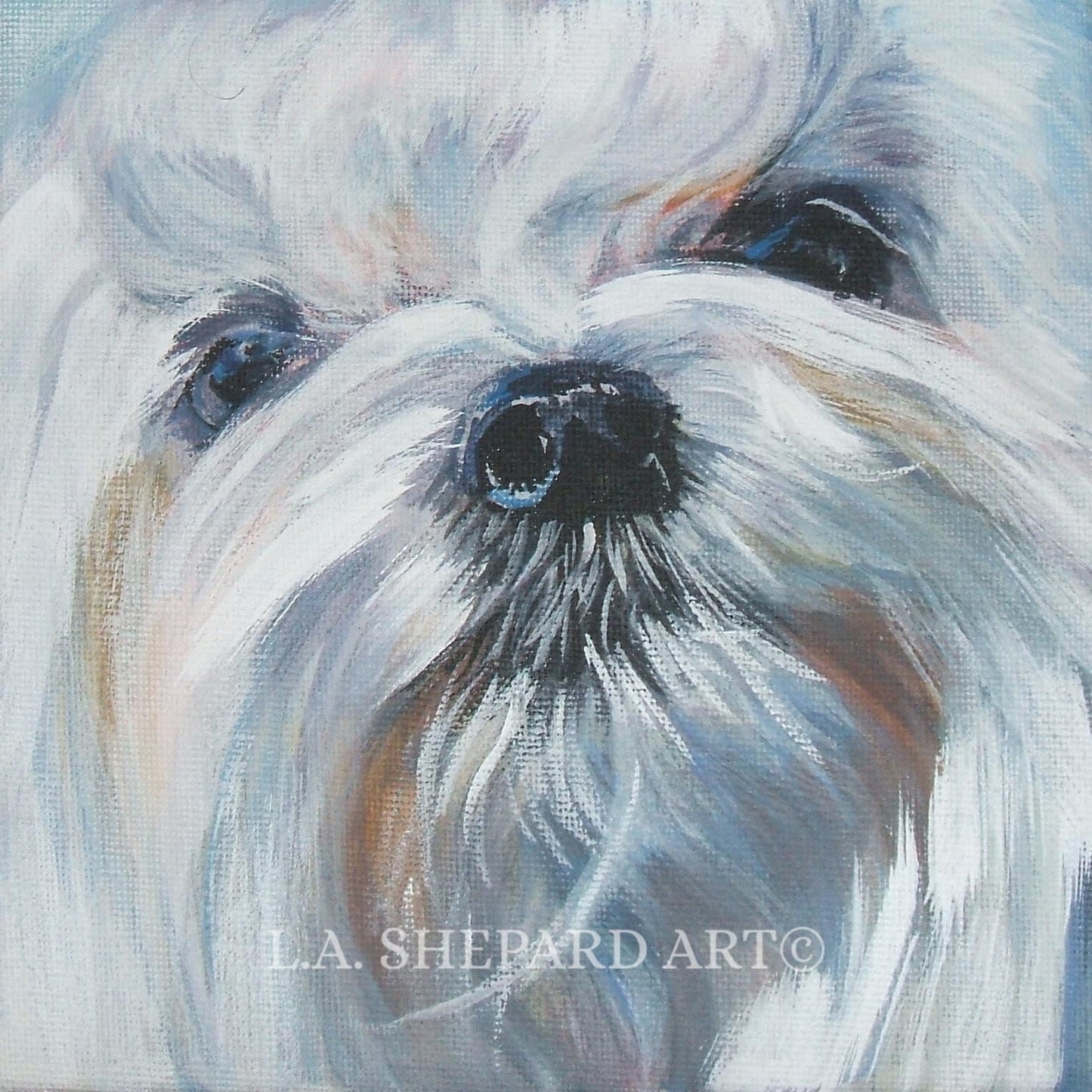 MALTESE dog art portrait canvas PRINT of LA Shepard painting 12x12