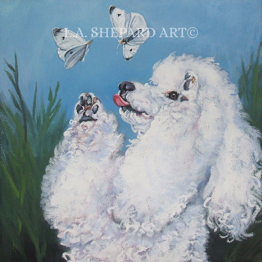 POODLE DOG PORTRAIT art canvas print of LAShepard painting 8x8