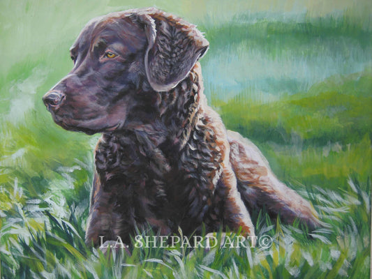 CHESAPEAKE Bay Retriever dog ART canvas PRINT of LAShepard painting Chessie 8x10