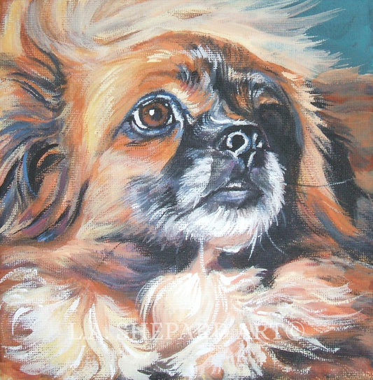 TIBETAN Spaniel dog art portrait PRINT of LA Shepard painting 12x12