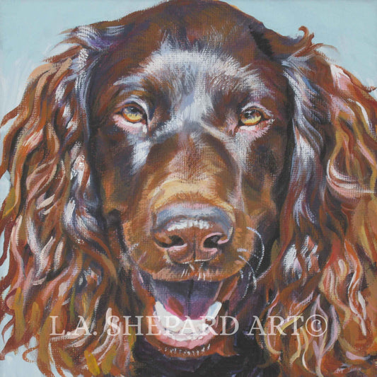 BOYKIN SPANIEL dog portrait art canvas PRINT of LAShepard painting 12x12"