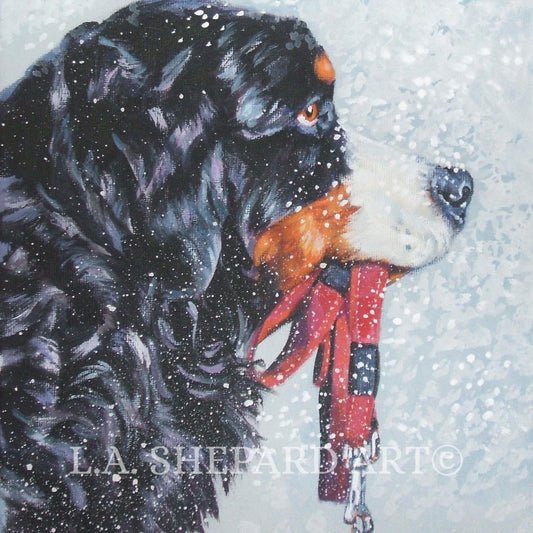 BERNESE Mountain Dog art portrait canvas PRINT of LA Shepard painting 12x12