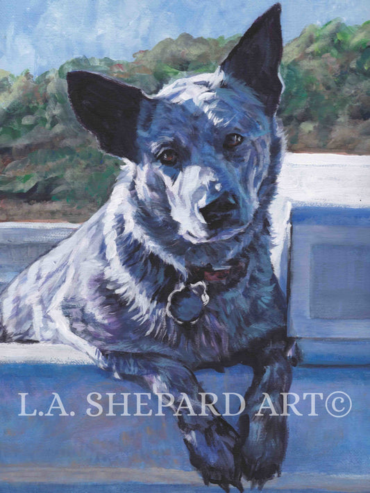 Australian CATTLE DOG art Blue Heeler PRINT of LAShepard painting 12x16