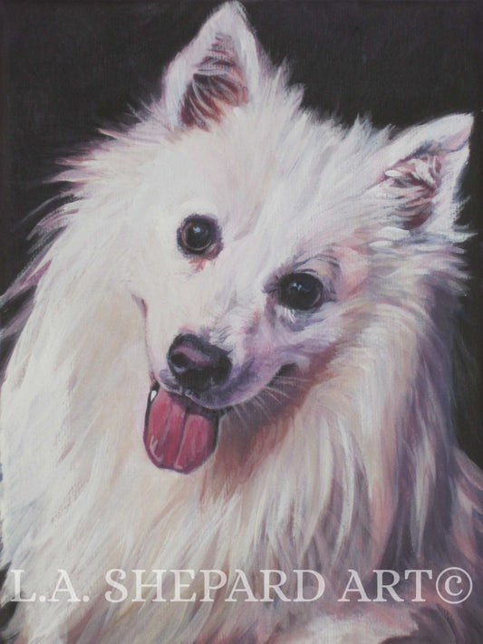 American Eskimo Dog portrait art print of LA Shepard painting 8x10