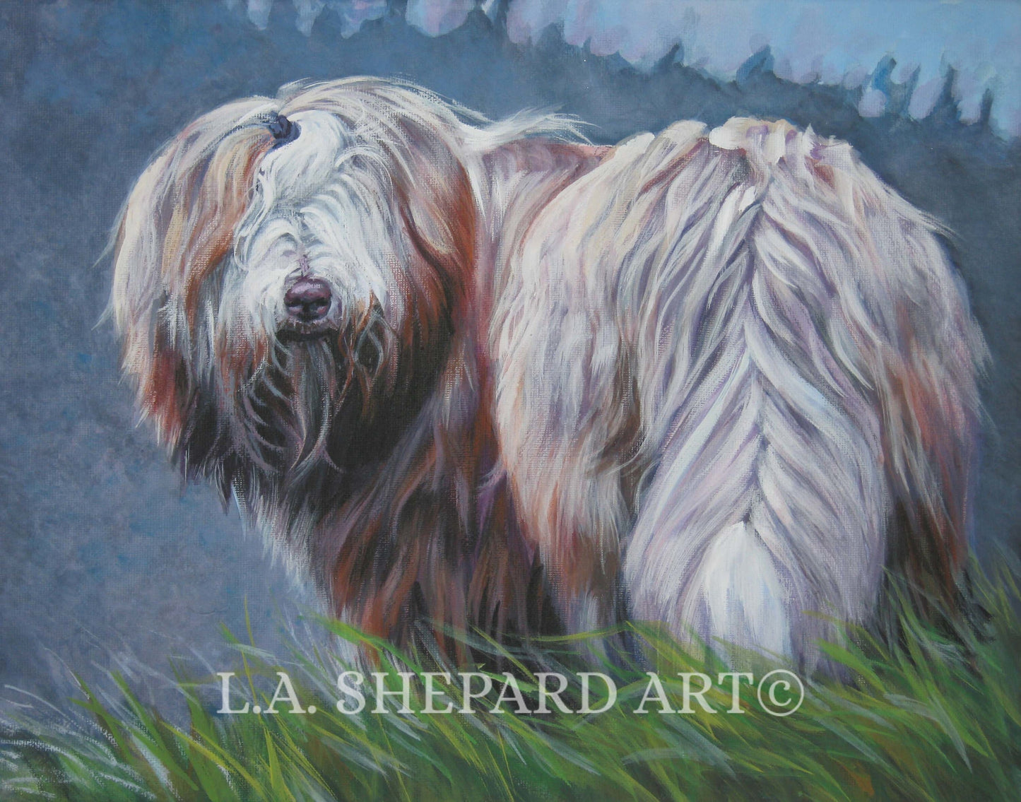 Bearded collie BEARDIE dog ART PRINT of LAShepard painting 11x14"