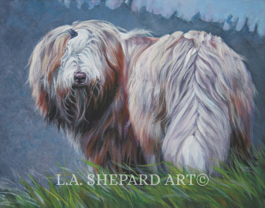 Bearded collie BEARDIE dog ART PRINT of LAShepard painting 11x14"