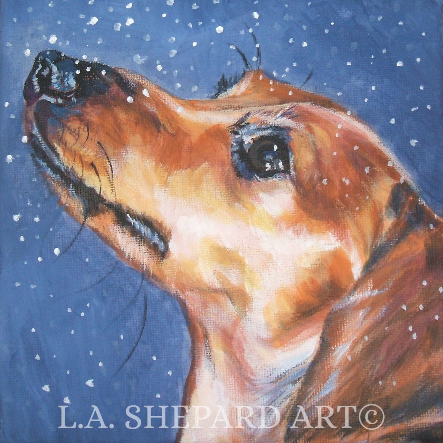 DACHSHUND dog portrait art PRINT of LA Shepard painting 8x8"