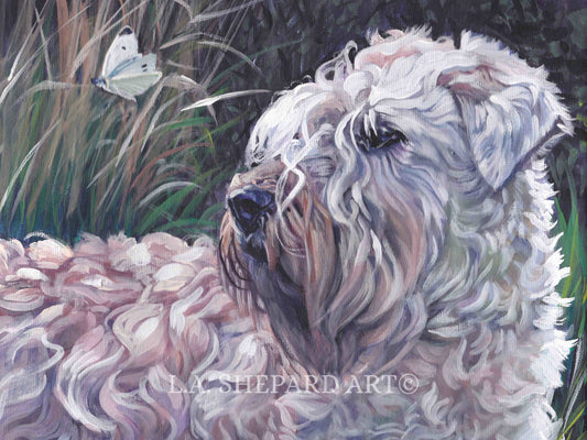 WHEATEN TERRIER dog portrait art PRINT of LAShepard painting 8x10"
