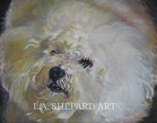 BICHON Frise dog art PORTRAIT PRINT of LAShepard painting 8x10