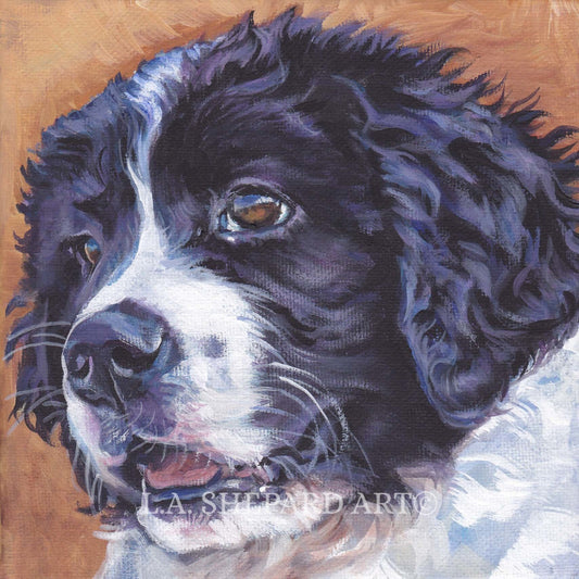 Newfoundland "Young Landseer Newfoundlander" Giclée Print of Original Painting by LA Shepard