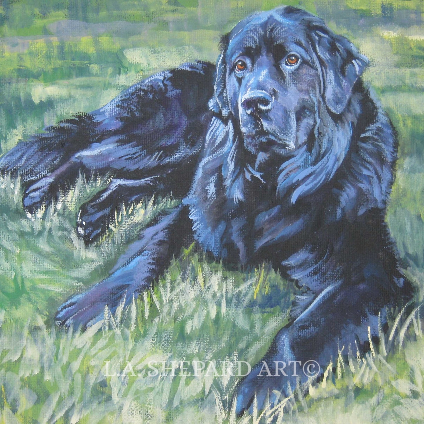Newfoundland dog art CANVAS print of LA Shepard painting 8x8