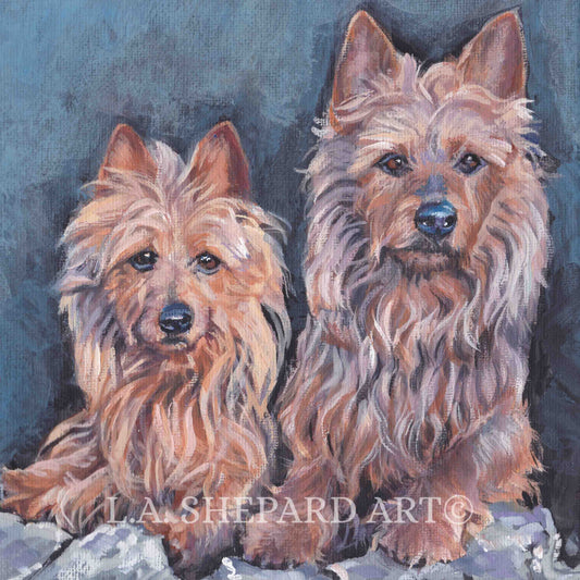 Australian Terrier dog portrait art  print of LA Shepard dog painting 8x8"