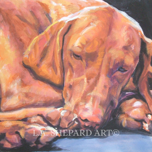 vizsla dog art portrait print of LA Shepard painting 12x12"