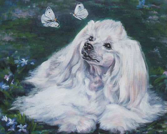 chinese crested powderpuff dog art CANVAS print of LA Shepard painting 11x14