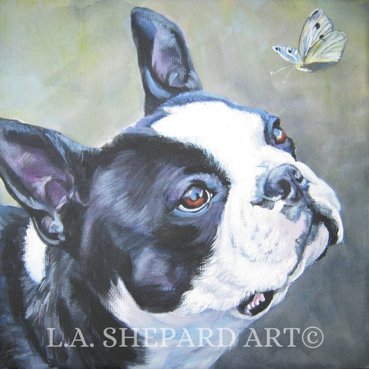 BOSTON TERRIER PORTRAIT dog art canvas print of LAShepard painting 12x12"