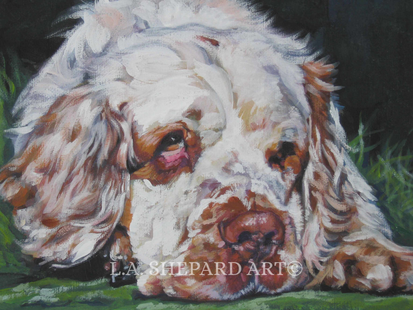Clumber Spaniel dog art portrait  print of LA Shepard painting 12x16
