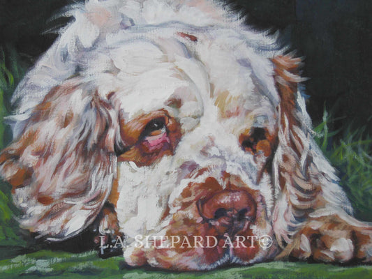 Clumber Spaniel dog art portrait  print of LA Shepard painting 12x16