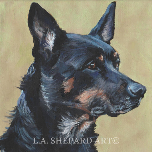 AUSTRALIAN KELPIE dog art portrait canvas PRINT of LAShepard painting 8x8
