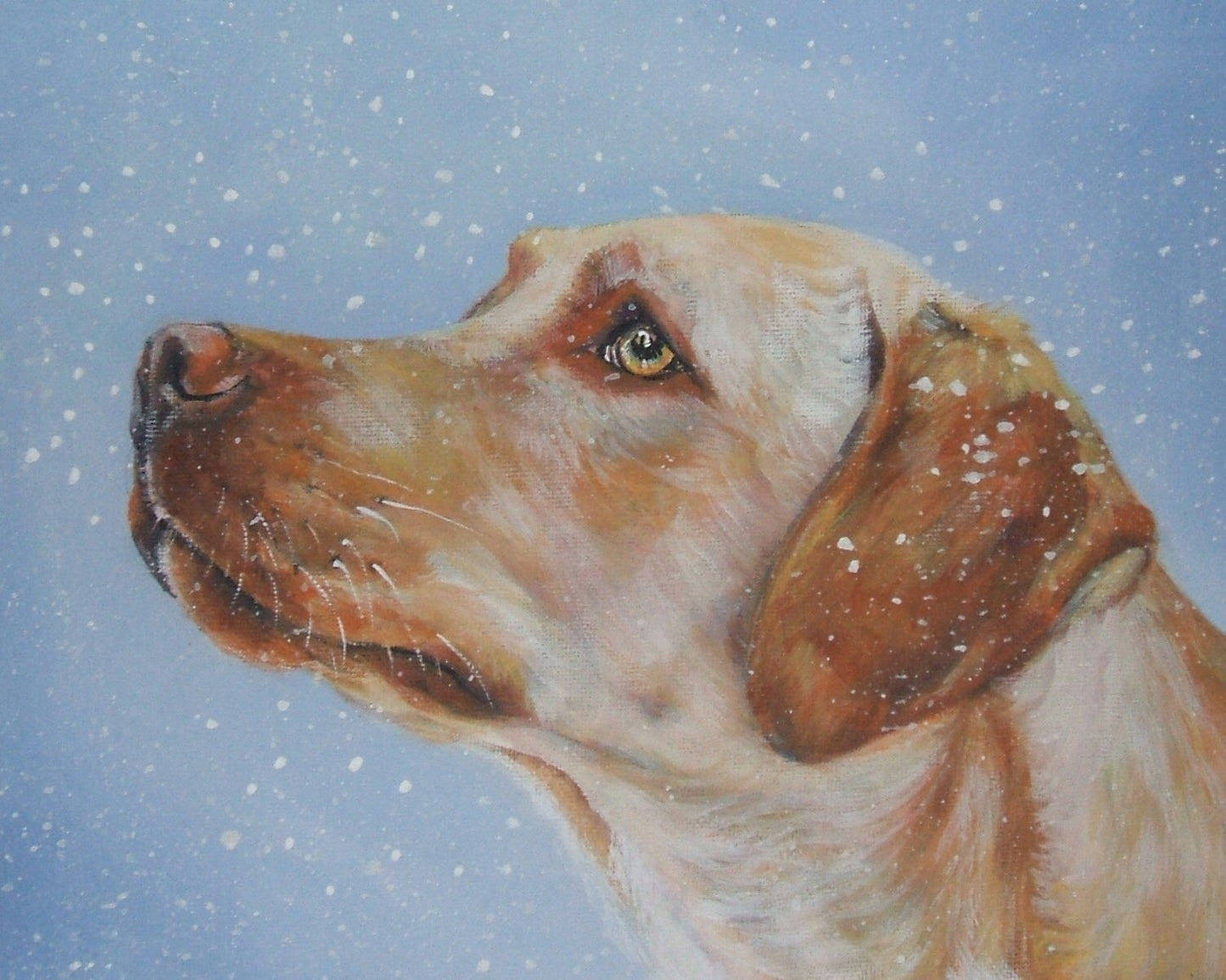 Labrador retriever CANVAS print of LA Shepard painting 8x10 yellow lab dog art