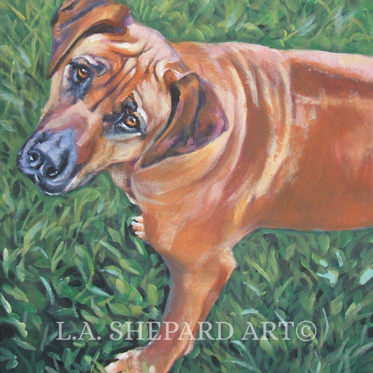 RHODESIAN RIDGEBACK dog art PRINT of LAShepard painting 12x12