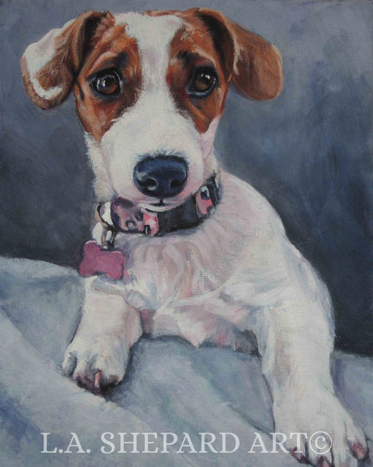 jrt JACK RUSSELL terrier dog portrait art canvas PRINT of LAShepard painting 8x10