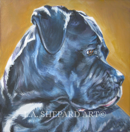 CANE CORSO dog art portrait canvas Print of LAShepard painting 8x8"