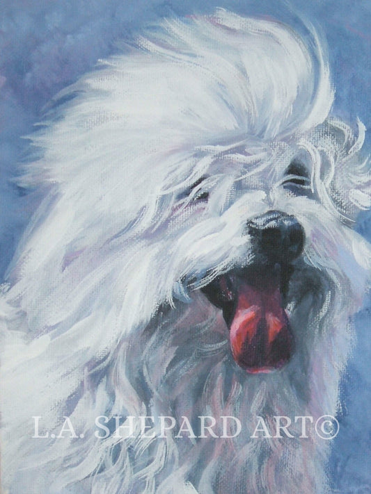 COTON DE TULEAR dog art portrait canvas print of LAShepard painting 12x16