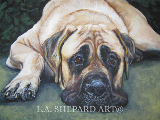Mastiff "American Mastiff Day Dreams" Giclée Print of Original Painting by LA Shepard