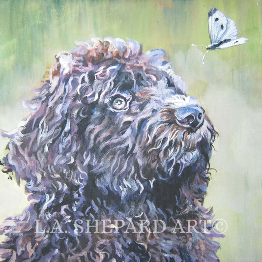 BARBET dog art PORTRAIT canvas PRINT of LAShepard painting 8x8" french water dog